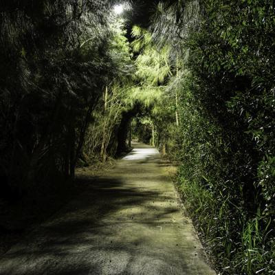 Pittwater Pathway Lighting 3