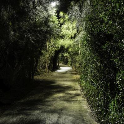 Avalon Beach/Yellow brick Road Lighting, NSW