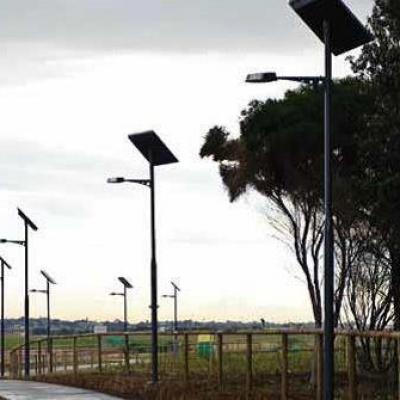 Pecan Solar Lighting 11